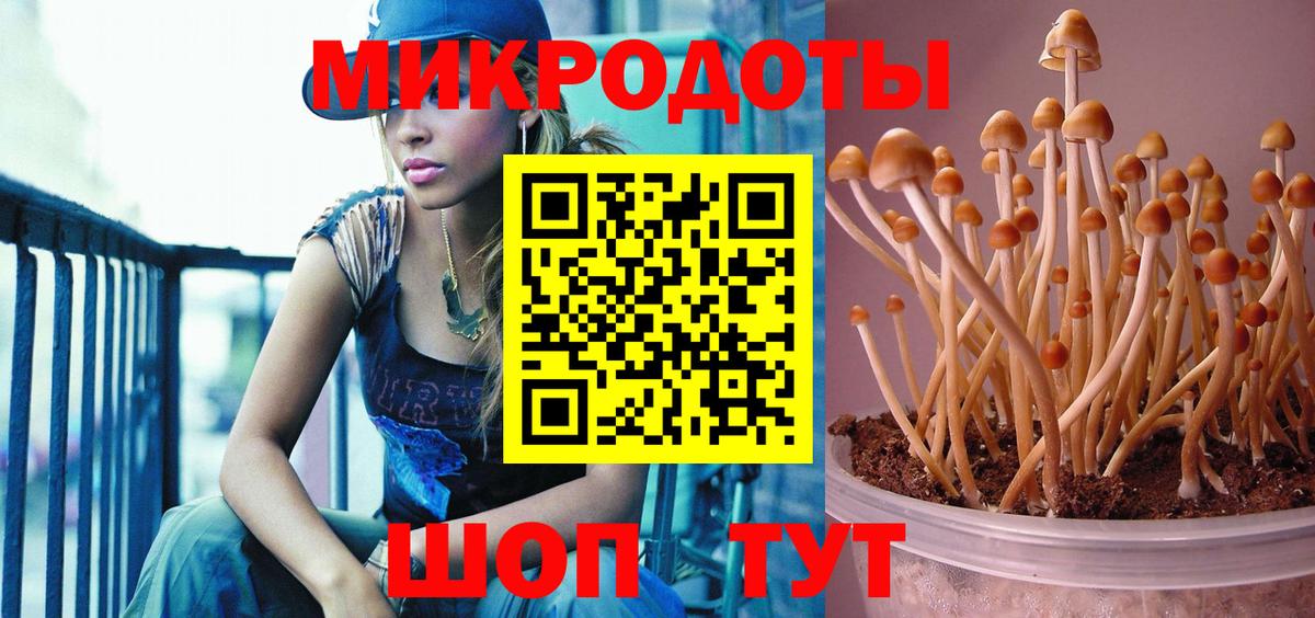 Псилоцибиновые грибы Psilocybine cubensis  Вход с VPN  Псилоцибиновые грибы мицелий  Рязань 