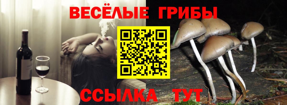 Псилоцибиновые грибы ЛСД Рязань