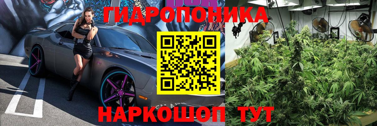 МАРИХУАНА конопля Рязань
